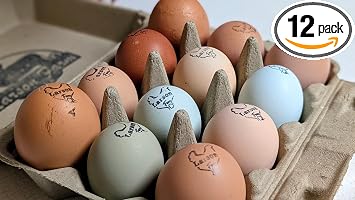 12-Count Multiple Breed Hatching Eggs, NPIP Certified/AI Clean