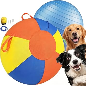 Medium Herding Ball for Dogs & Horses with Pump