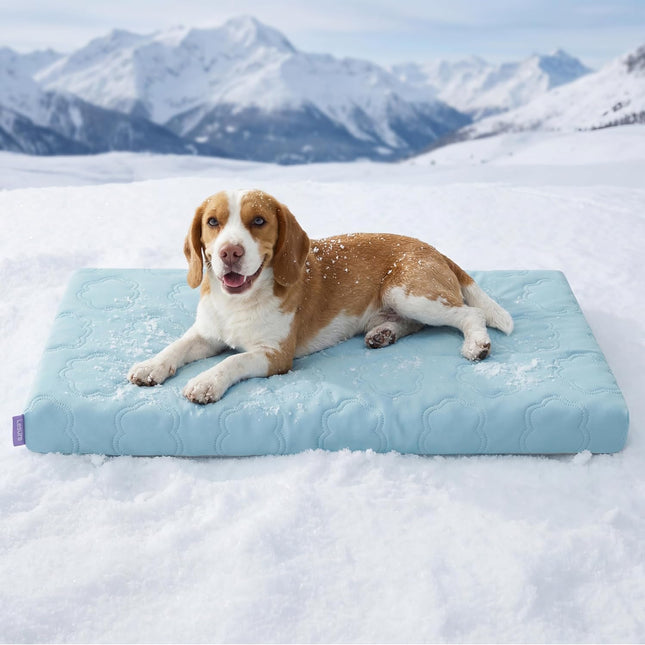 Cooling Orthopedic Dog Bed with Washable Cover, 35 x 22 Inch
