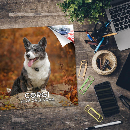 Corgi Calendar 2027 - 16 Month Dog Wall Calendar