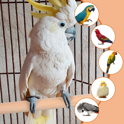 PawHaven RefugioPata 4PCS Bird Perches Parakeet Perches Wooden Parrot Perch Stand Wood Perche — Pet Supplies