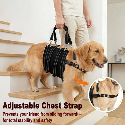 Adjustable Dog Lift Harness for Large Dogs