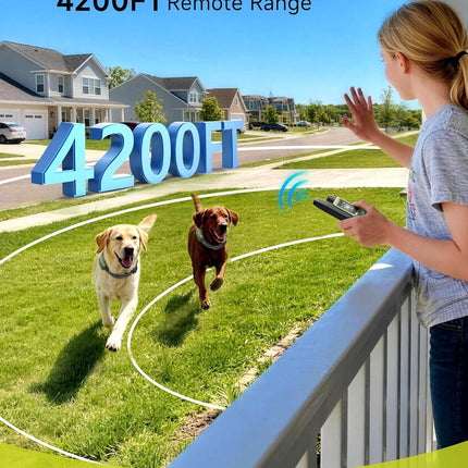 Shock Collar for 2 Dogs, 10-120 lbs, 4200 ft Remote Training Collar