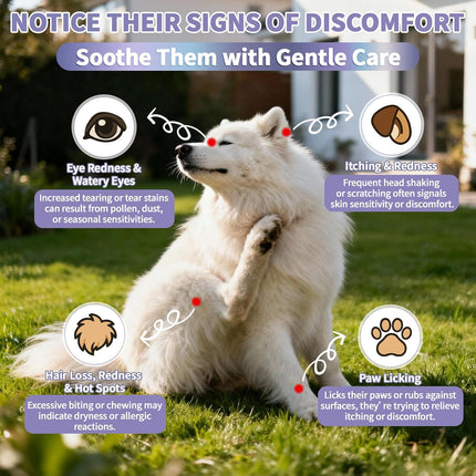Dog Allergy Relief Chews - Itching Skin, Paw Licking, Ears & Seasonal Allergy Support, 500 Ct