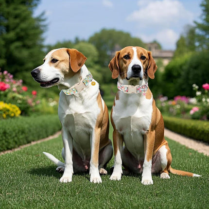 Flower Cotton Dog Collar for Small, Medium, and Large Dogs