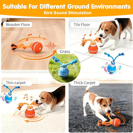 Interactive Dog Ball Toy with Squeaky Birdsong Sound
