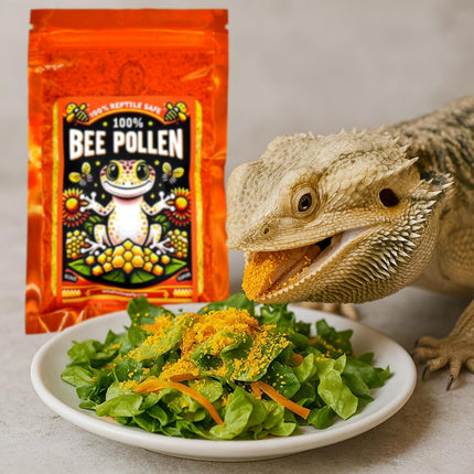 100% Bee Pollen Powder Food for Reptiles
