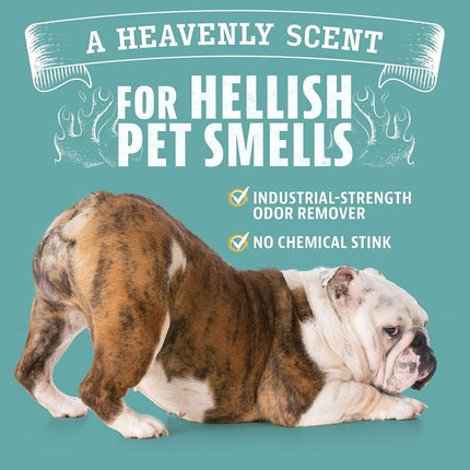 Pet Odor Eliminator Citrus Cleaner with Natural Orange Oil, 24 oz