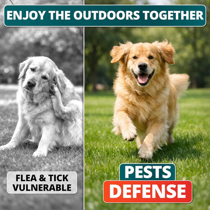 Flea and Tick Prevention for Dogs Chewables