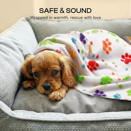 PawHaven RefugioPata LINENLUX Cute Dog Blanket for Small Medium Dogs 6-Pack Soft Stretchy Fleece — Pet Supplies