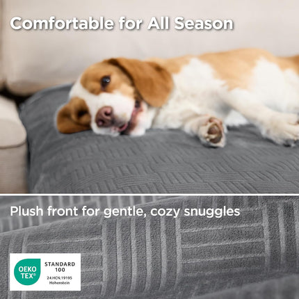 Waterproof Washable Couch Cover for Dogs, Ash Grey, 52 x 82 in