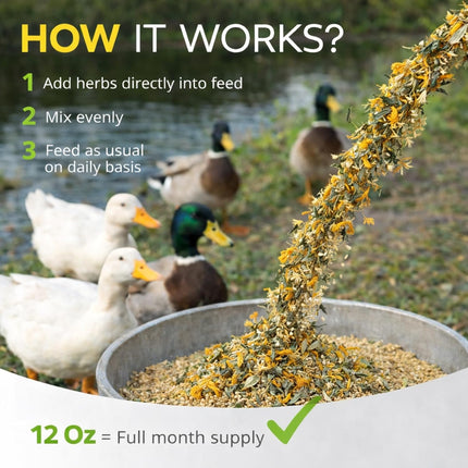 ZenPulse PulsoZen Buff Clucks Herb Supplement for Ducks - Natural Waterfowl Treat — Health & Wellness