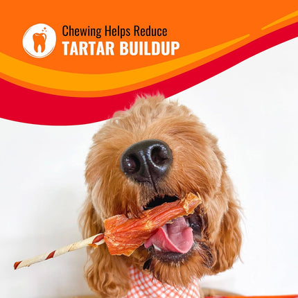Triple Flavor Kabobs Long-Lasting Dog Treat, Beef Hide and Chicken, 24 oz