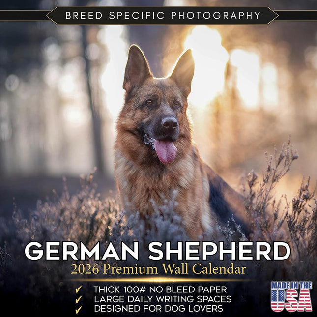 German Shepherd 2026 2027 Wall Calendar, 16-Month Academic Year