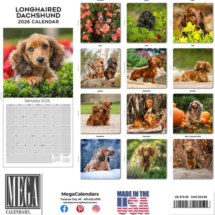 Longhaired Dachshund 2026 16-Month Wall Calendar