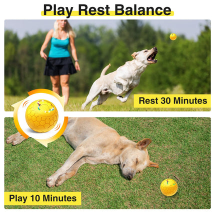 Interactive dog ball toy automatic rolling LED ball keeps dogs active