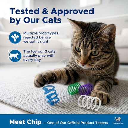 Cat Spring Toys Cats Can't Resist - Set of 4, Made in the USA