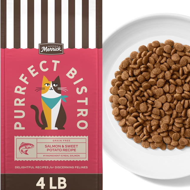 Grain Free Salmon & Sweet Potato Dry Cat Food for Adult Cats, 4 lb Bag