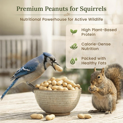 Premium Raw Peanuts for Squirrels - 10 lb Bulk Wildlife Food with Bonus Binoculars