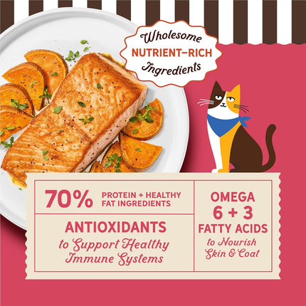 Grain Free Salmon & Sweet Potato Dry Cat Food for Adult Cats, 4 lb Bag