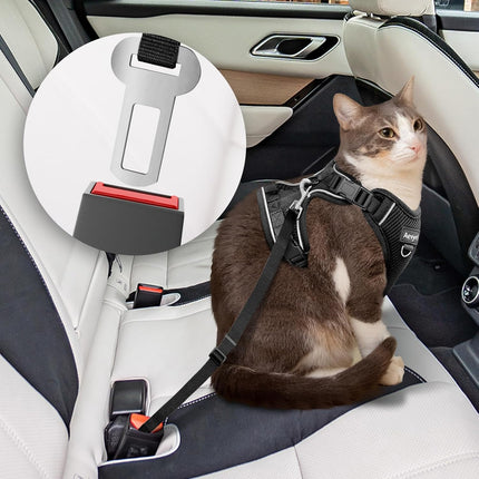Black Adjustable Cat Harness and Leash, Medium