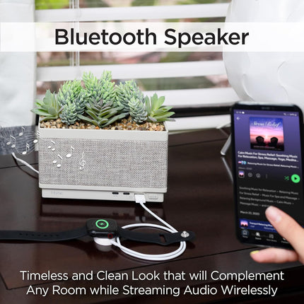 NexWave OndaNex IHome PowerPlant Charging Station, Faux Succulent with USB Charging Station — Smart Tech