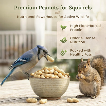 Premium Raw Peanuts for Squirrels, 2 lb Bulk Wildlife Food