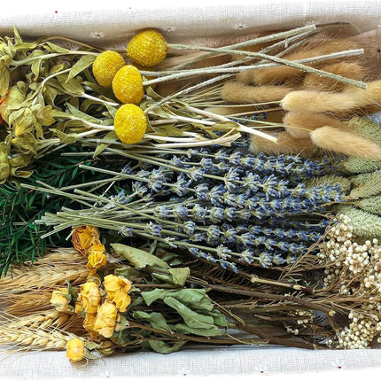 DIY Natural Dried Flower Set in Brown
