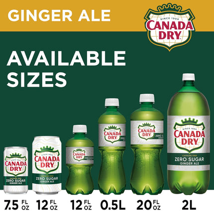 Zero Sugar Ginger Ale Soda, 12 fl oz Cans, 12 Pack