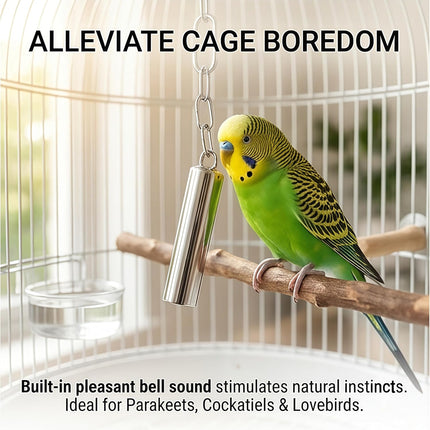 TerraBound TierraRumbo Stainless Steel Bird Bells 2-Pack Durable Hanging Bird Toy for Cage — Outdoor & Adventure