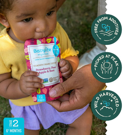 Stage 2 Organic Baby Food Pouches - Strawberry, Pear, Apple & Beet, 3.5 oz, 6 Pack