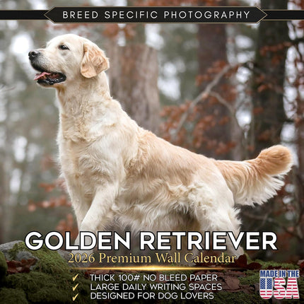 Golden Retriever Calendar 2027 - 16 Month Dog Wall Calendar