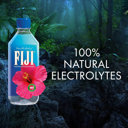 Still Bottled Water, 500 mL (16.9 fl oz), Pack of 24