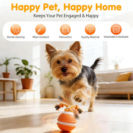 Interactive Dog Ball Toy with Squeaky Birdsong Sound