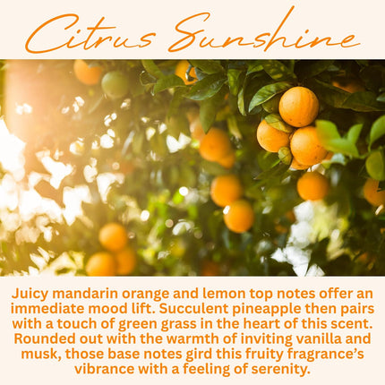 Wickless Citrus Sunshine Soy Wax Candle Melts