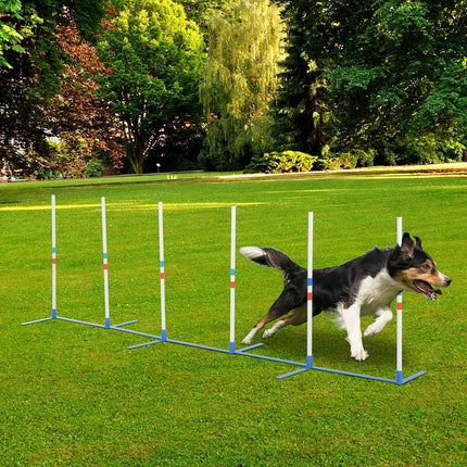 PawHaven RefugioPata Lightweight Dog Agility Weave Pole Kit 6 Adjustable PE Poles — Pet Supplies