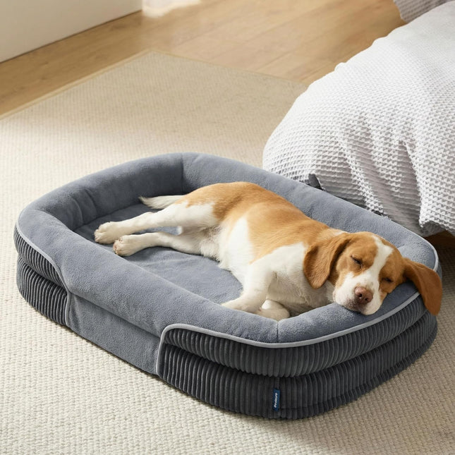 Orthopedic 35-Inch Oval Bolster Dog Bed for Large Senior Dogs, Grey
