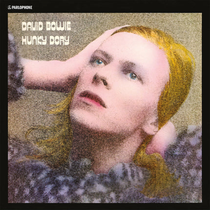 SourceToHome FuenteACasa Hunky Dory — Home & Lifestyle