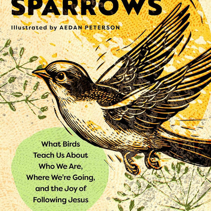 Considering Sparrows: What Birds Teach Us About Following Jesus