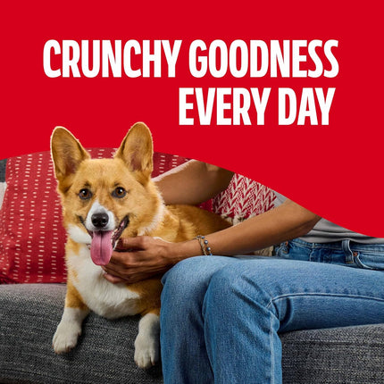 Mini Flavor Crunch Dog Biscuits, 36 Oz Canister