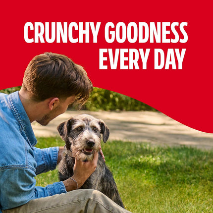 Original Crunchy Dog Treat Biscuits for Medium Dogs, 10 lb