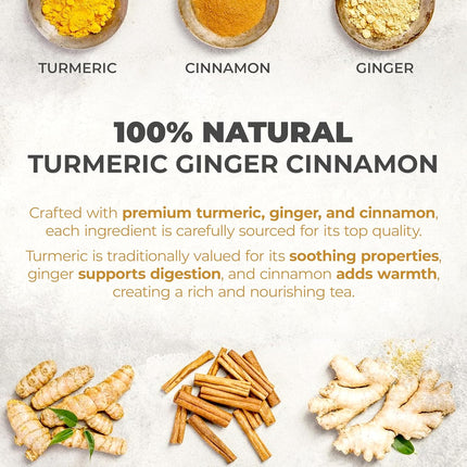 Turmeric Ginger Cinnamon Herbal Tea Bags, 40 Count
