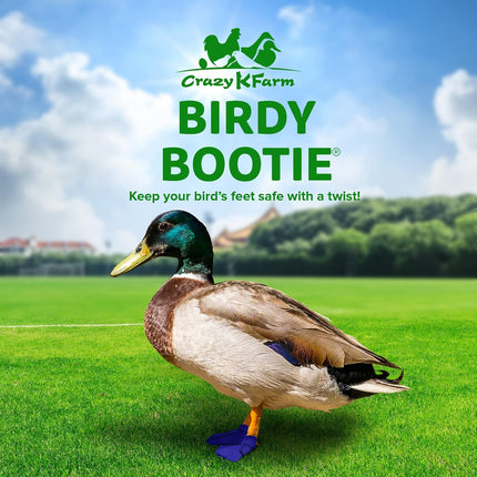 Protective Duck Shoes for Injured Feet - Large Royal Blue