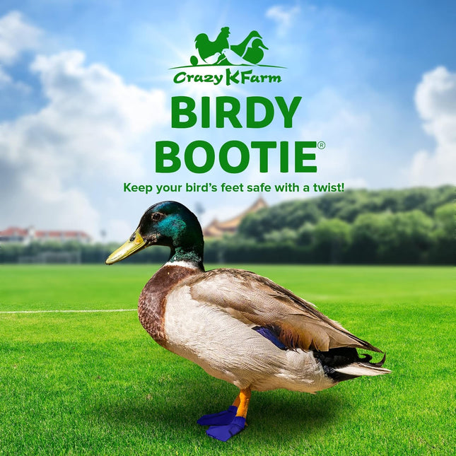Protective Duck Shoes for Injured Feet - Large Royal Blue