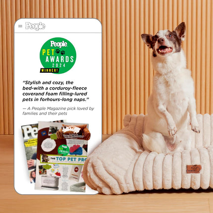 Cute Cat Couch for Indoor Pets with Removable Washable Cover, 24 Inch, Cream