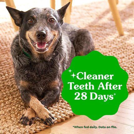 Adult Natural Dental Dog Treats, Regular Size Original Flavor, 36 oz, 36 Count