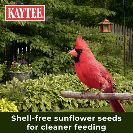 No Mess Wild Bird Food Seed Blend, 10 lb