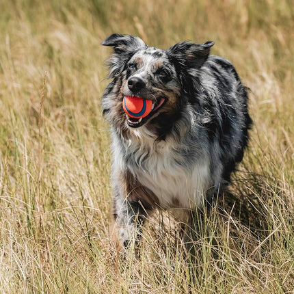 Ultra Ball Dog Toy - Medium Bouncy Fetch Balls for Dogs 20-60 lbs - Durable Rubber Floating Pet Toys - 2.5 in - Pack of 2