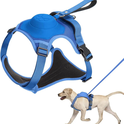 Dog harness and automatic retractable leash kit size guide