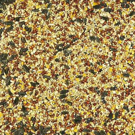 All American Wild Bird Food Seed Blend for Cardinals, Blue Jays, Finches & More, 5 lb